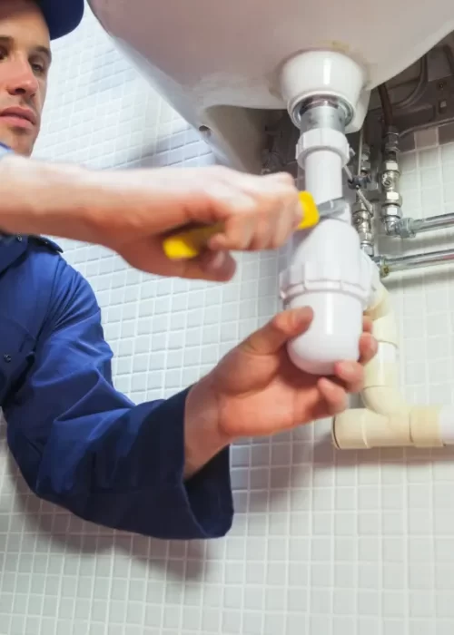 encanador-carrancudo-que-repara-o-dissipador (1)