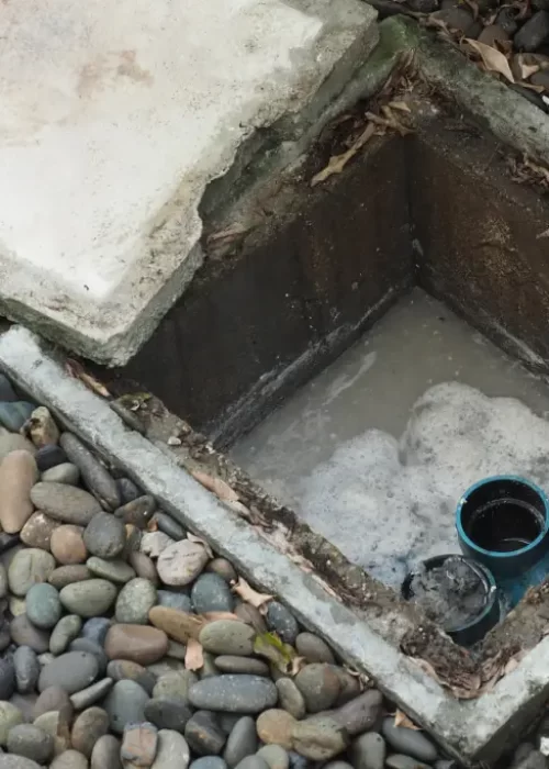 homem2-1024x683.jpg (5)